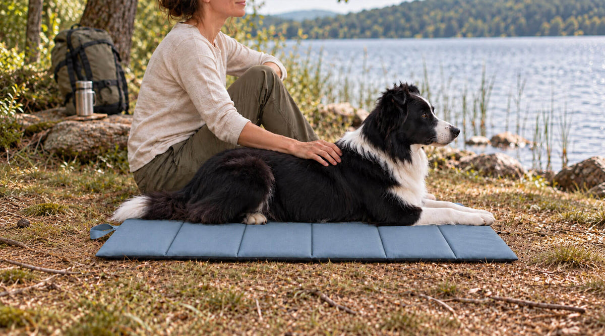 Hundebett beim Camping: Border Collie liegt am See auf der faltbaren Hundematte Rastia neben seiner Halterin