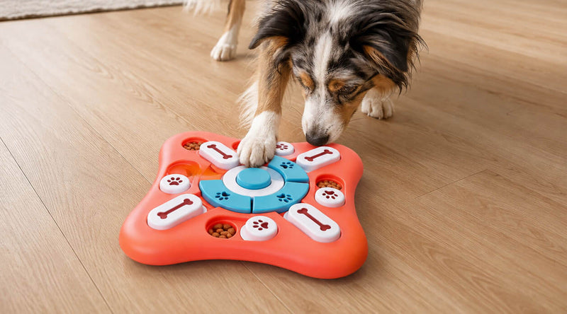 Hund öffnet mit Pfote und Nase ein Leckerli-Fach am roten Intelligenzspielzeug