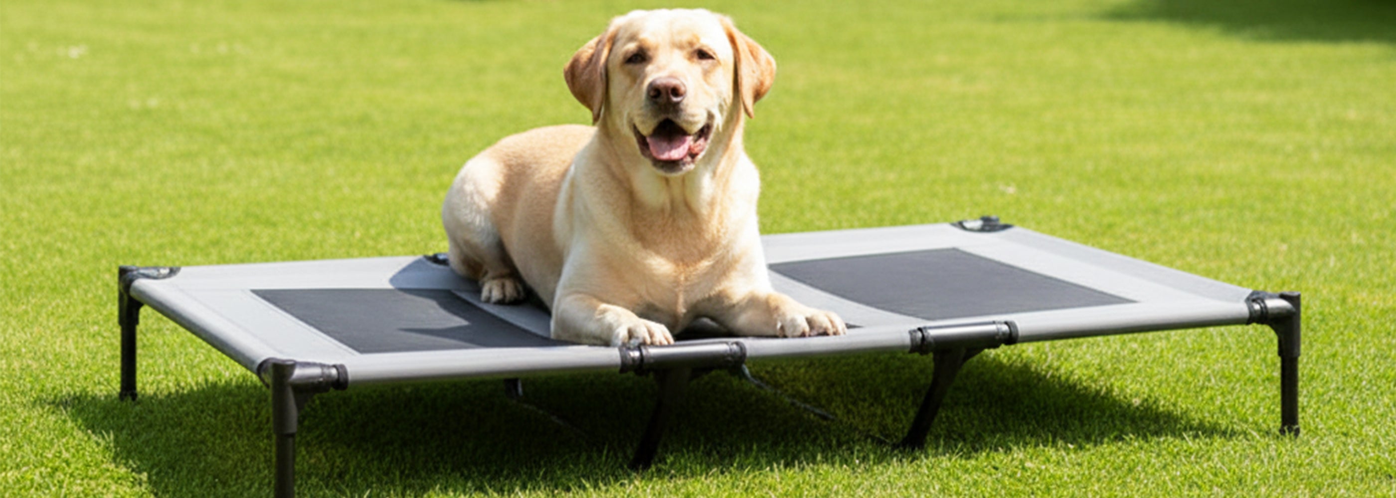 Outdoor Hundeliege