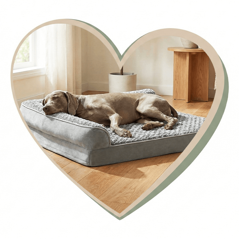 Hundebetten & Schlafplätze