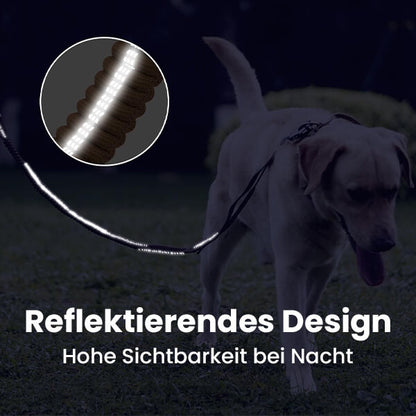 Reflektierende Bungee Hundeleine Nylon