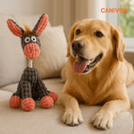 Esel Enzo - Interaktives Hunde Spielzeug - canivoa.de