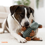 Gürteltier Gismo - Interaktives Hundespielzeug - canivoa.de