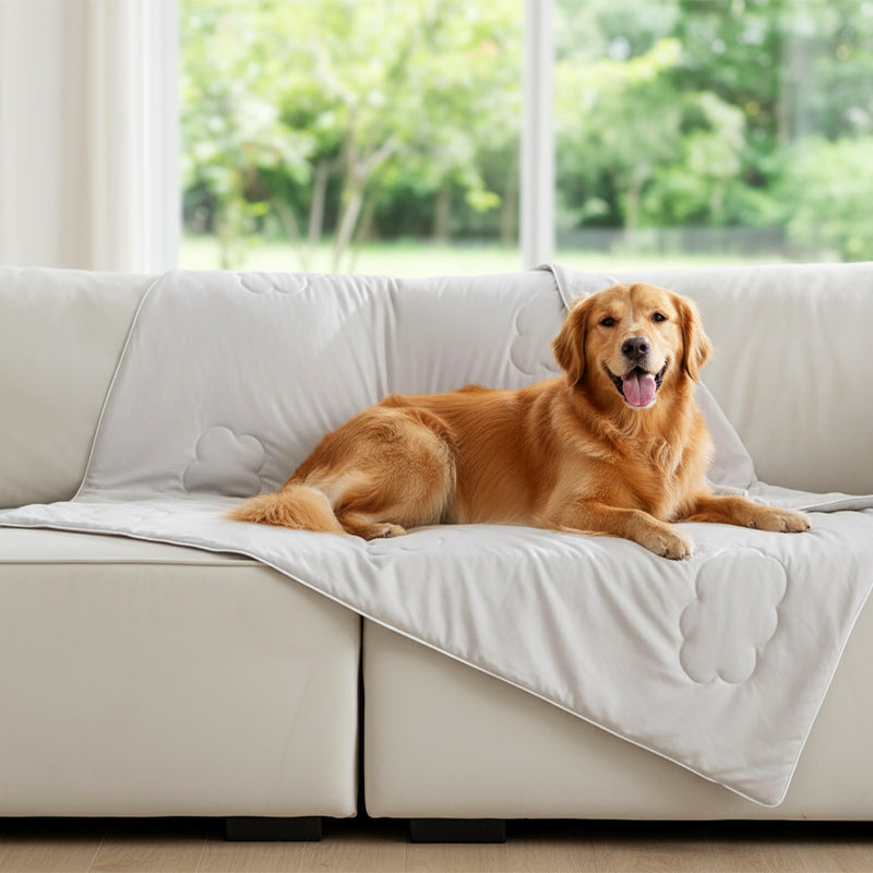 CaniCloud™ Hunde Kühldecke - Sofortige Abkühlung ohne Strom oder Chemie