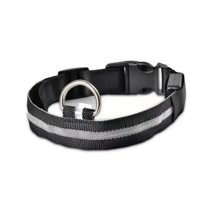 LED Hunde Halsband - wiederaufladbar - canivoa.de