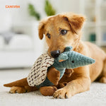 Gürteltier Gismo - Interaktives Hundespielzeug - canivoa.de