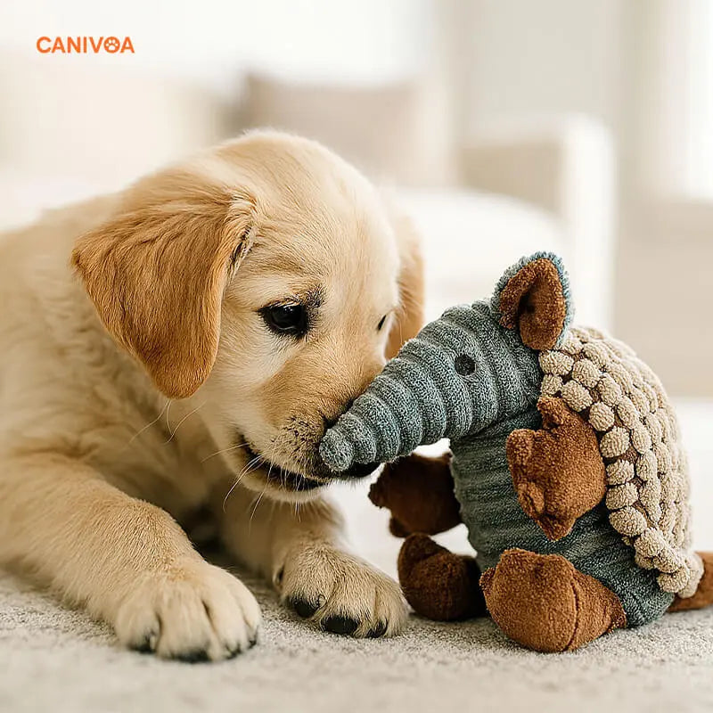 Gürteltier Gismo - Interaktives Hundespielzeug - canivoa.de