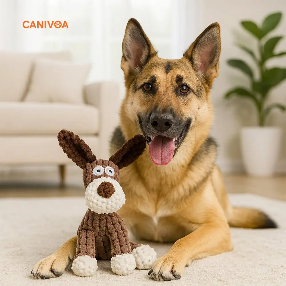Hund Rudi - Interaktives Hunde Spielzeug - canivoa.de