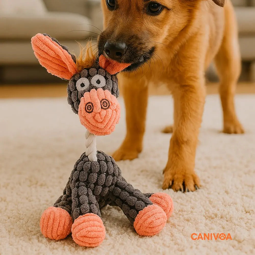 Esel Enzo - Interaktives Hunde Spielzeug - canivoa.de