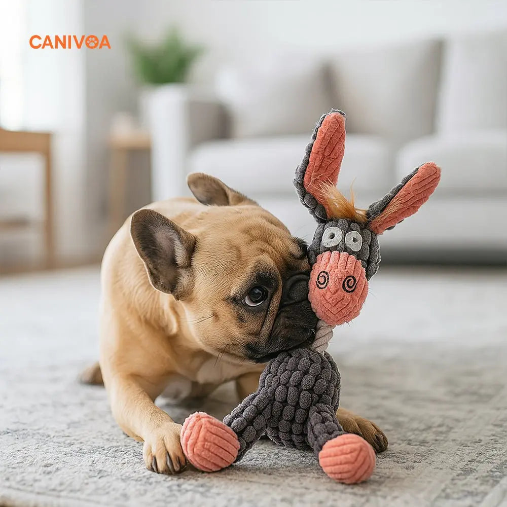 Esel Enzo - Interaktives Hunde Spielzeug - canivoa.de