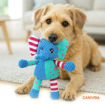 Elefant Ella - Interaktives Hunde Spielzeug - canivoa.de