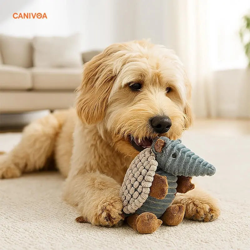 Gürteltier Gismo - Interaktives Hundespielzeug - canivoa.de