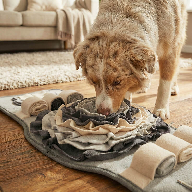 Schnüffelmatte für Hunde in Grau – Intelligente Beschäftigung & Anti-Schling-Training
