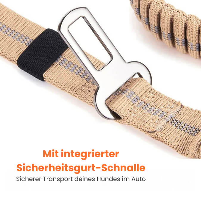 Reflektierende Bungee Hundeleine Nylon