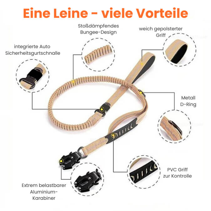 Reflektierende Bungee Hundeleine Nylon