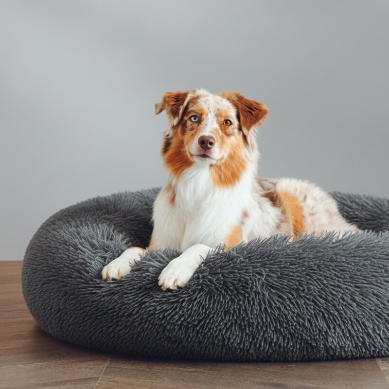Kuschelnest™ Orthopädisches flauschiges Hundebett im Donut-Design