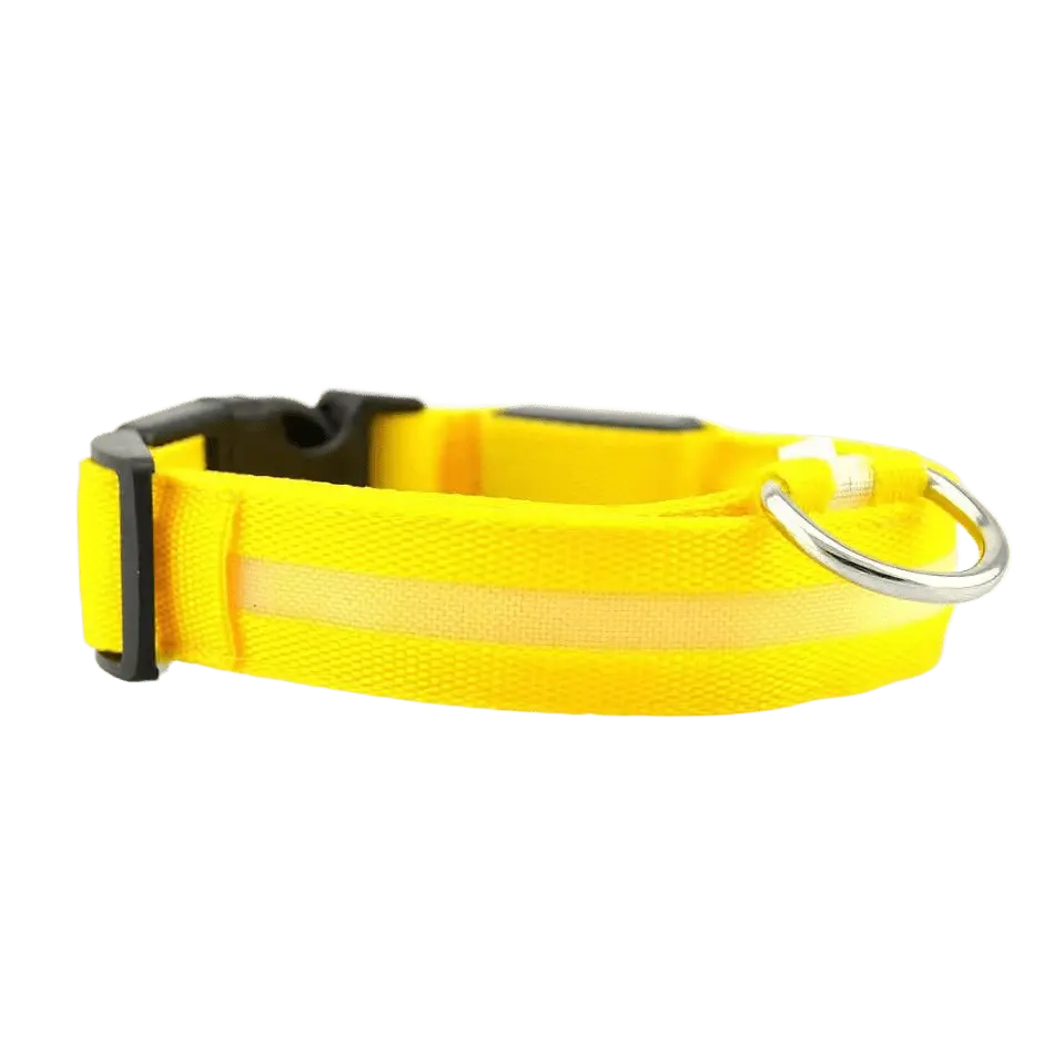 LED Hunde Halsband - wiederaufladbar - canivoa.de