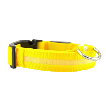 LED Hunde Halsband - wiederaufladbar - canivoa.de