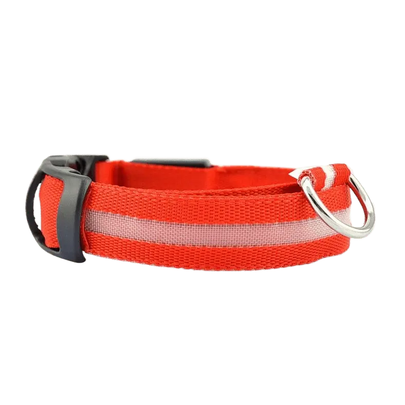 LED Hunde Halsband - wiederaufladbar - canivoa.de