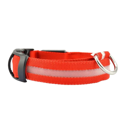 LED Hunde Halsband - wiederaufladbar - canivoa.de