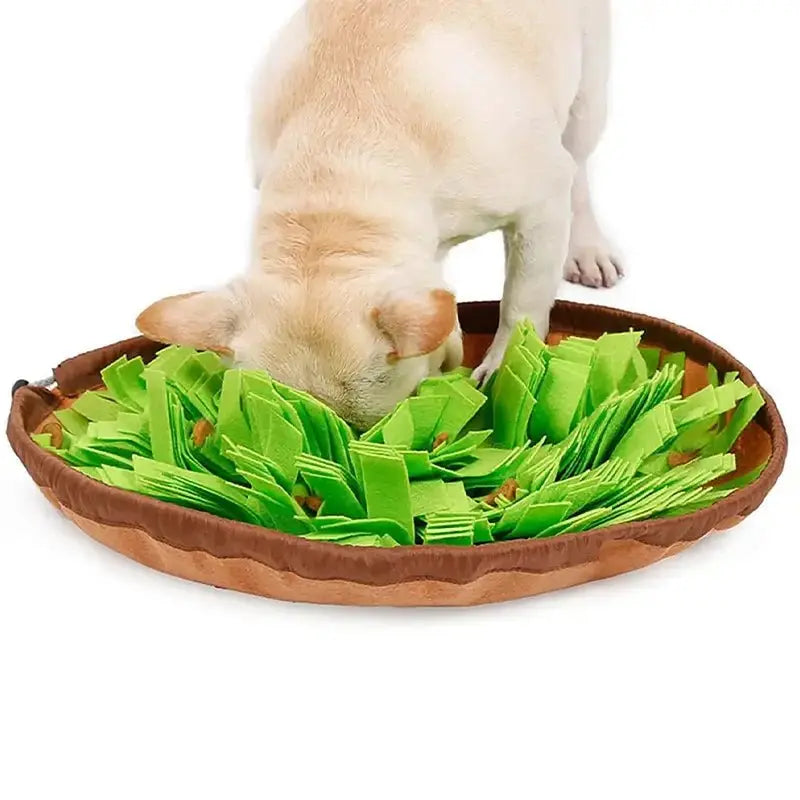 Canivoa - Hunde Schnüffelteppich - canivoa.de