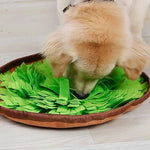 Canivoa - Hunde Schnüffelteppich - canivoa.de