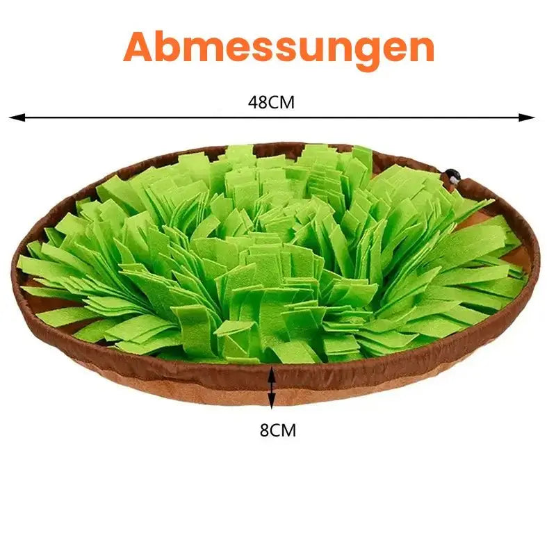 Canivoa - Hunde Schnüffelteppich - canivoa.de