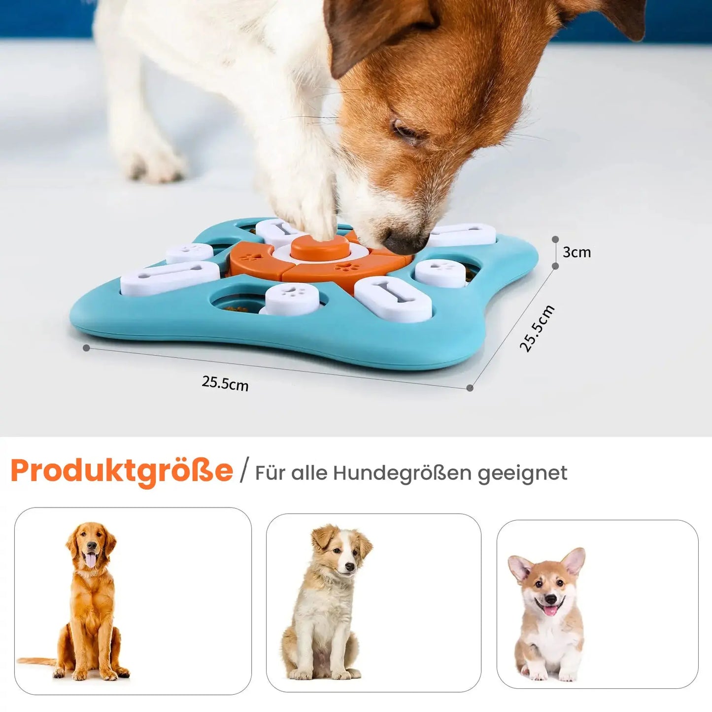 IQ Training - Interaktives Puzzle für Hunde - canivoa.de