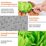 Canivoa - Hunde Schnüffelteppich - canivoa.de