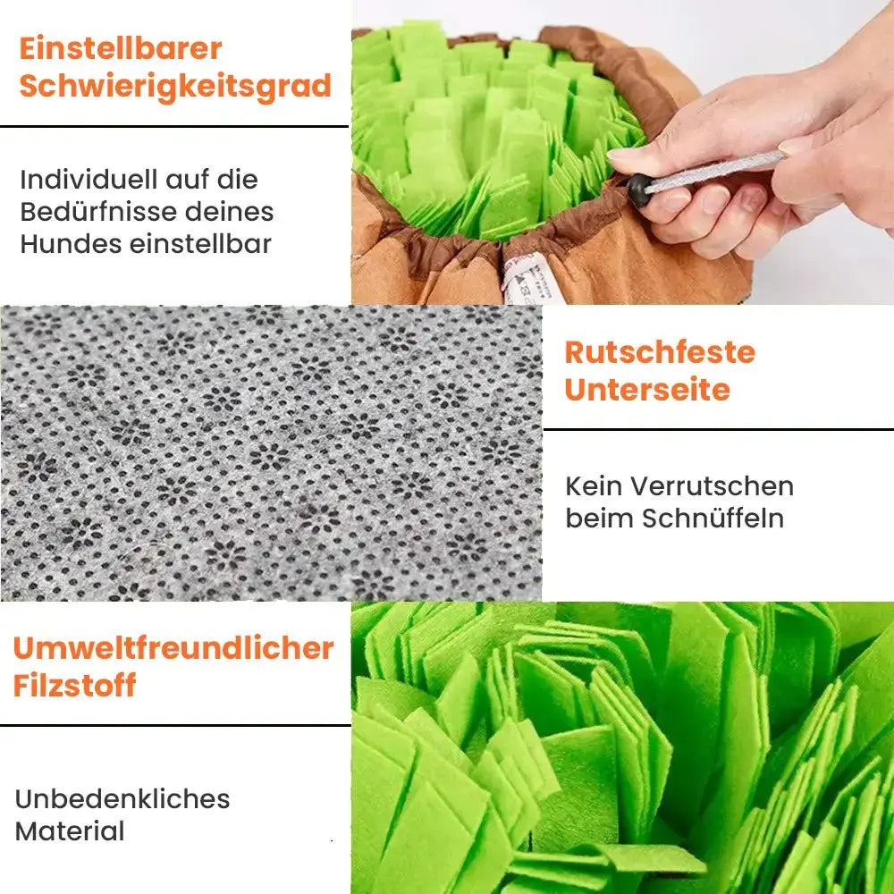 Canivoa - Hunde Schnüffelteppich - canivoa.de