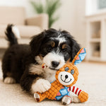 Bär Bruno - Interaktives Hunde Spielzeug - canivoa.de