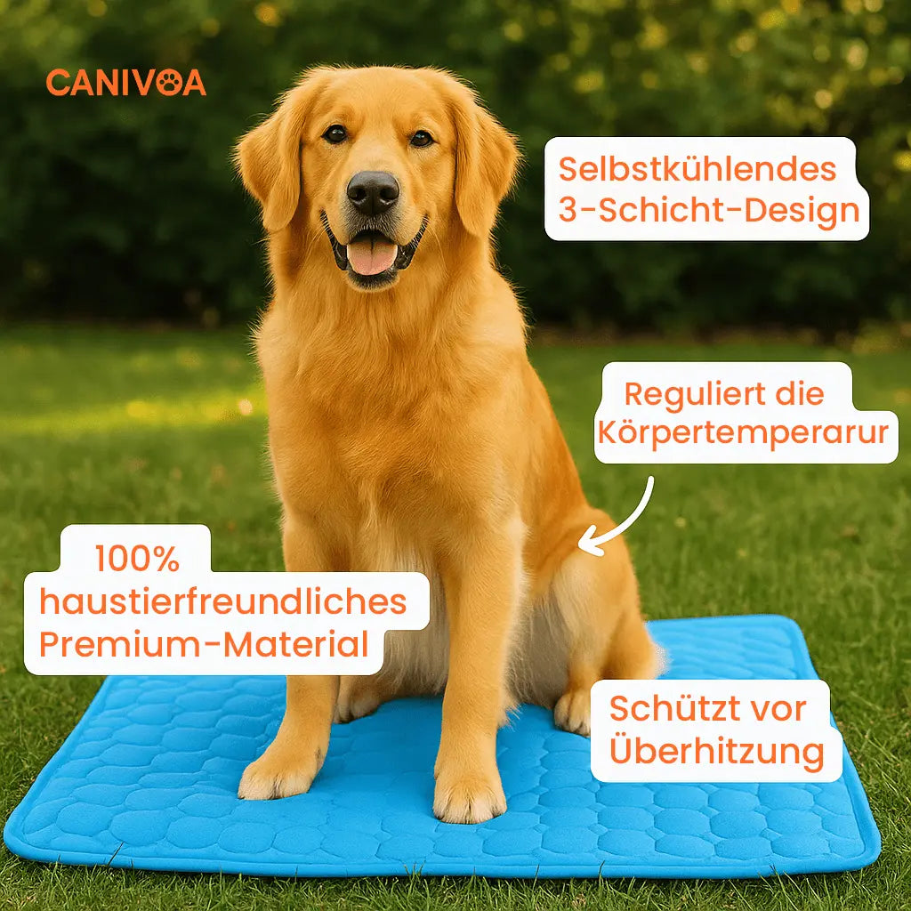 Canivoa Kühlmatte – Die smarte Abkühlung für deinen Vierbeiner - canivoa.de