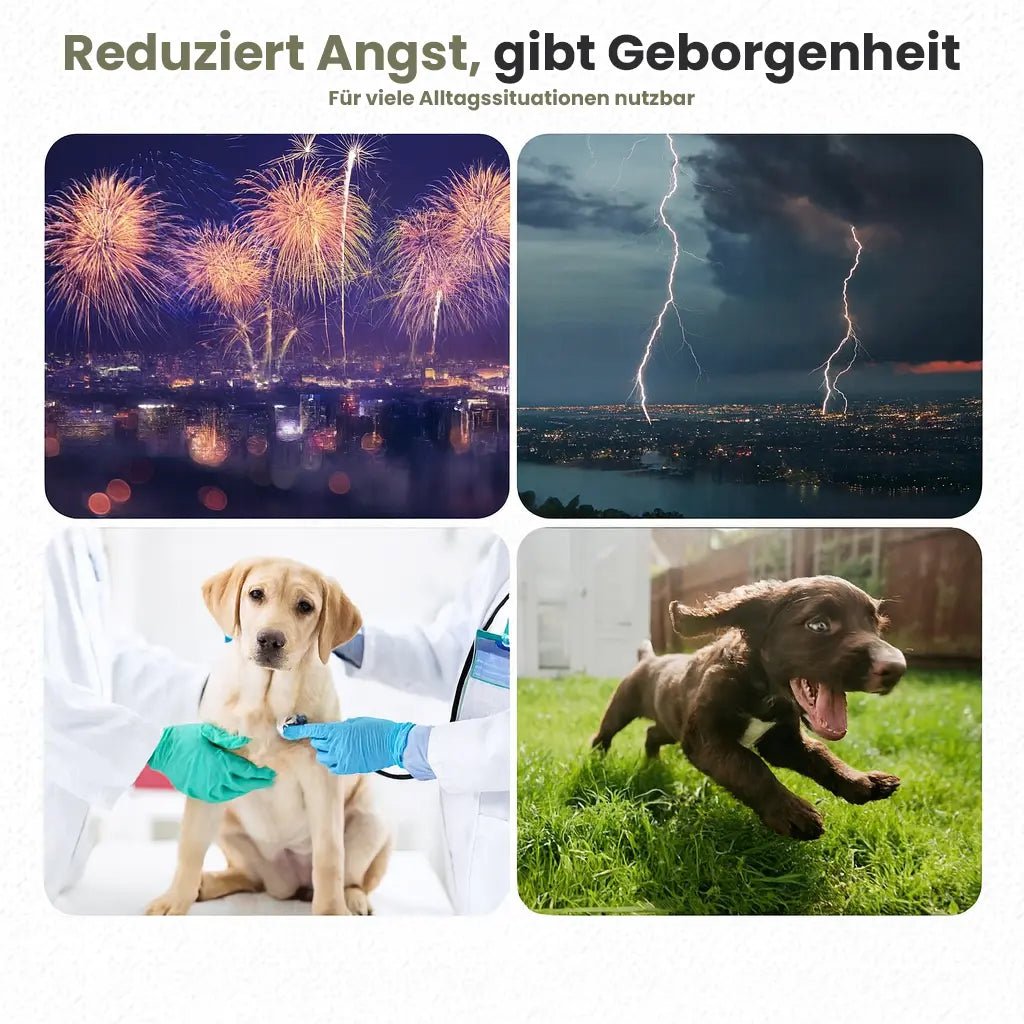 CalmGuard™ Beruhigungsweste für Hunde