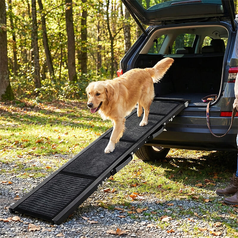 Klappbare Hunderampe für Auto & SUV – rutschfest, stabil & gelenkschonend bis 120 kg