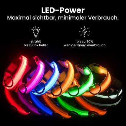 LED Hundehalsband - wiederaufladbar
