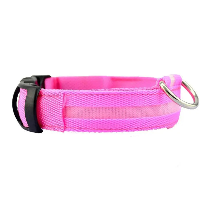 LED Hunde Halsband - wiederaufladbar - canivoa.de