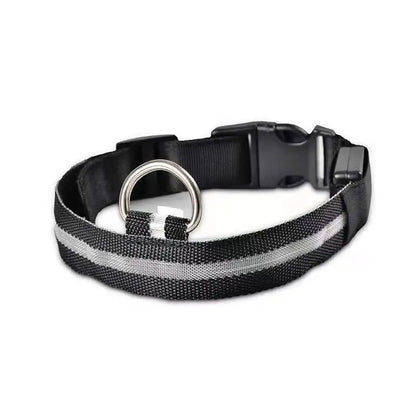LED Hunde Halsband - wiederaufladbar - canivoa.de