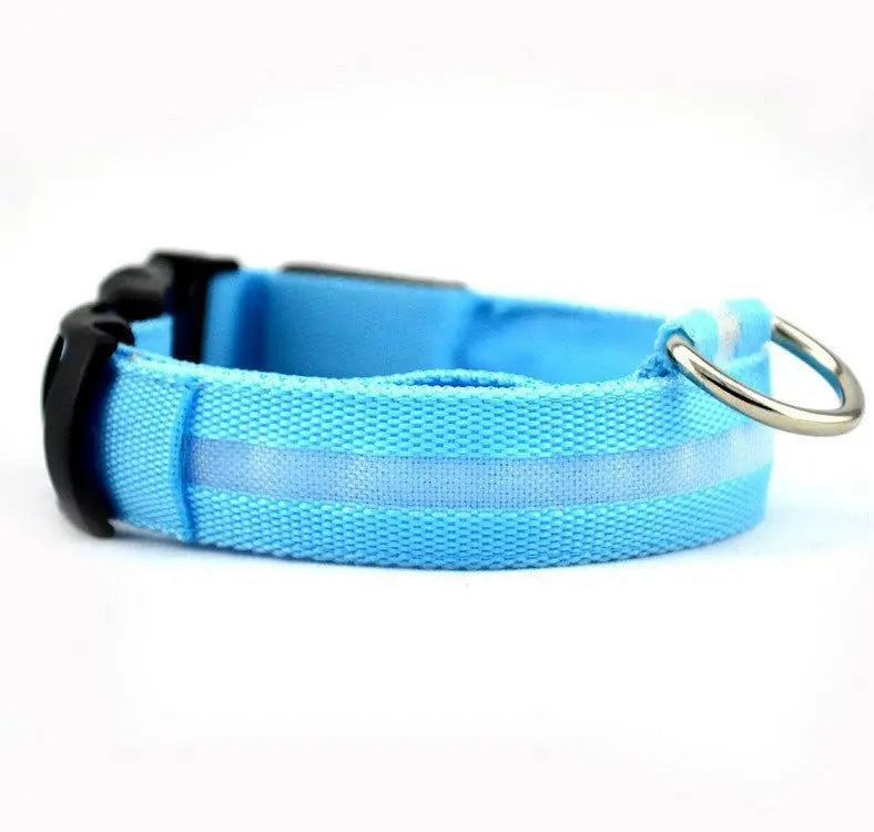 LED Hunde Halsband - wiederaufladbar - canivoa.de