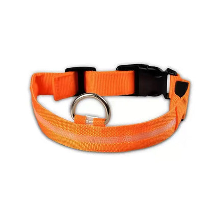 LED Hunde Halsband - wiederaufladbar - canivoa.de