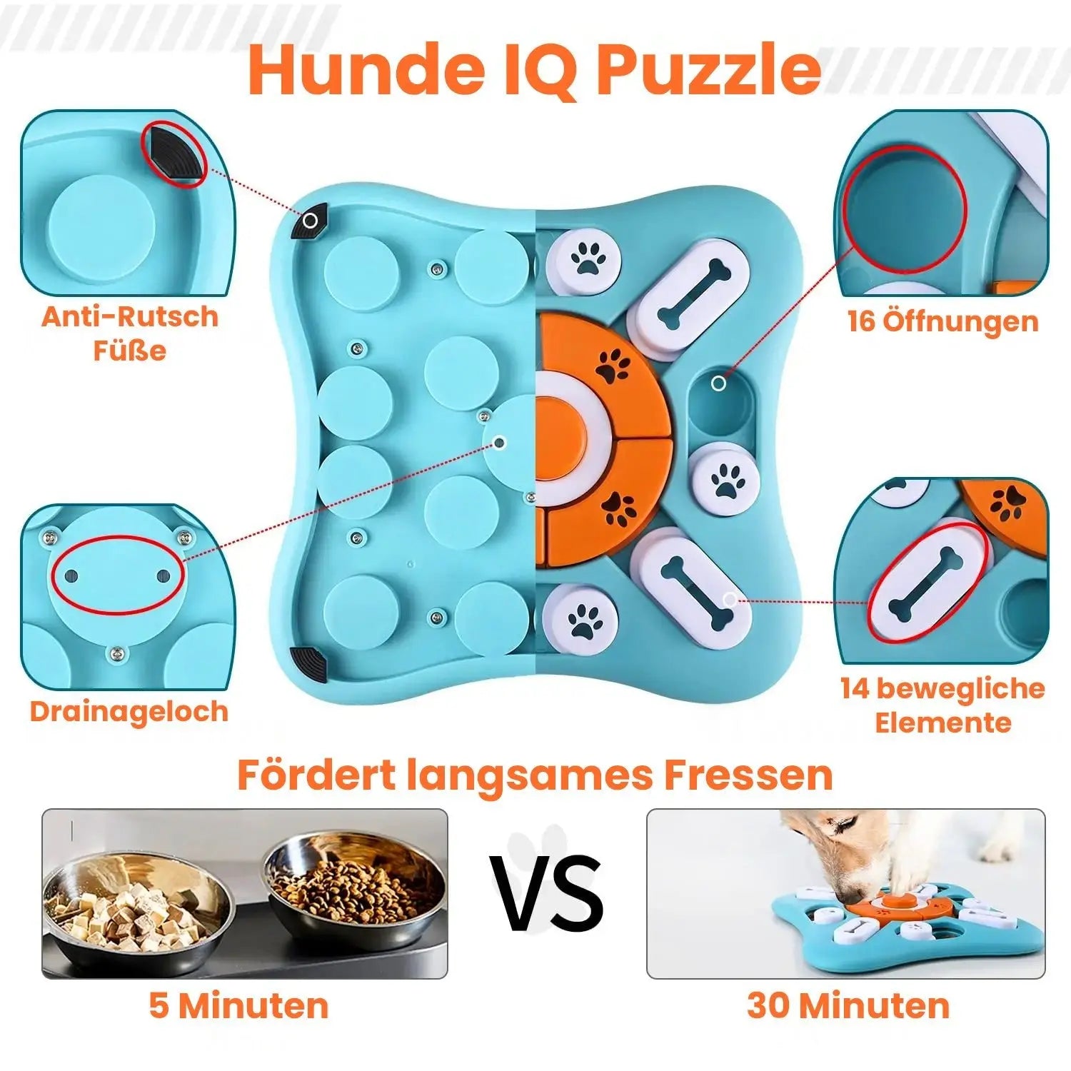 IQ Training - Interaktives Puzzle für Hunde - canivoa.de