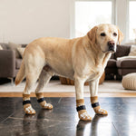 Ein älterer gelber Labrador steht sicher auf glatten dunklen Fliesen dank brauner Antirutsch-Hundesocken, die maximale Trittsicherheit bieten und Gelenkschäden bei Senioren-Hunden durch Wegrutschen vorbeugen