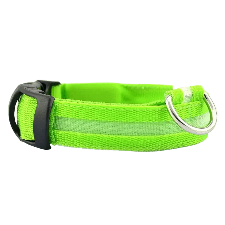 LED Hunde Halsband - wiederaufladbar - canivoa.de