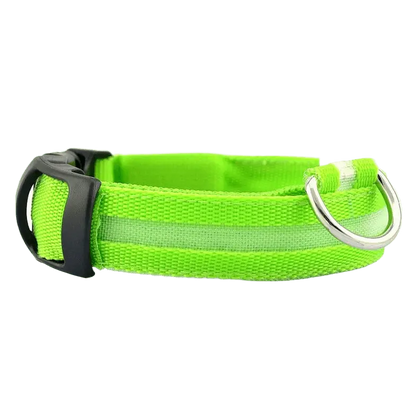 LED Hunde Halsband - wiederaufladbar - canivoa.de