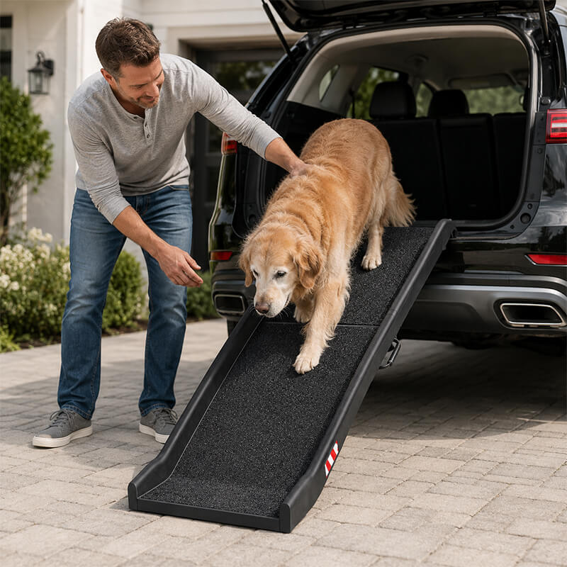 Großer Hund steigt über eine Einstiegshilfe fürs Auto kontrolliert aus dem Kofferraum, während der Halter ihn begleitet.