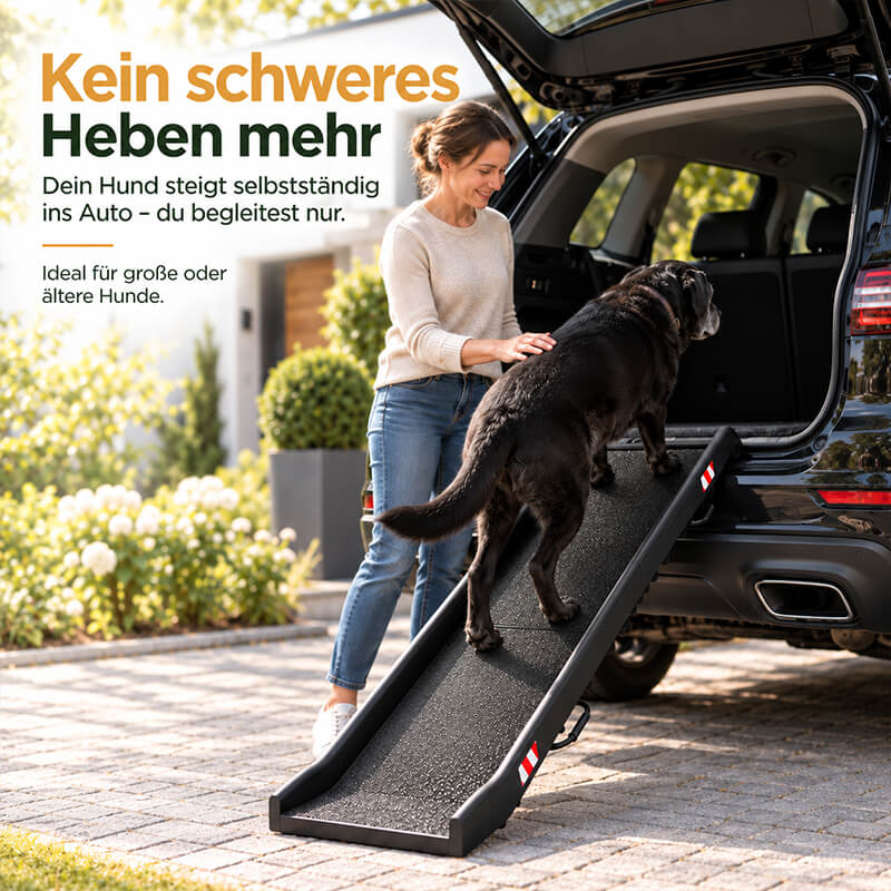 Auto-Einstiegshilfe für Hunde, mit der ein großer Hund selbstständig über die Rampe in den Kofferraum steigt.
