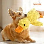 Ente Emil - Interaktives Hunde Spielzeug - canivoa.de