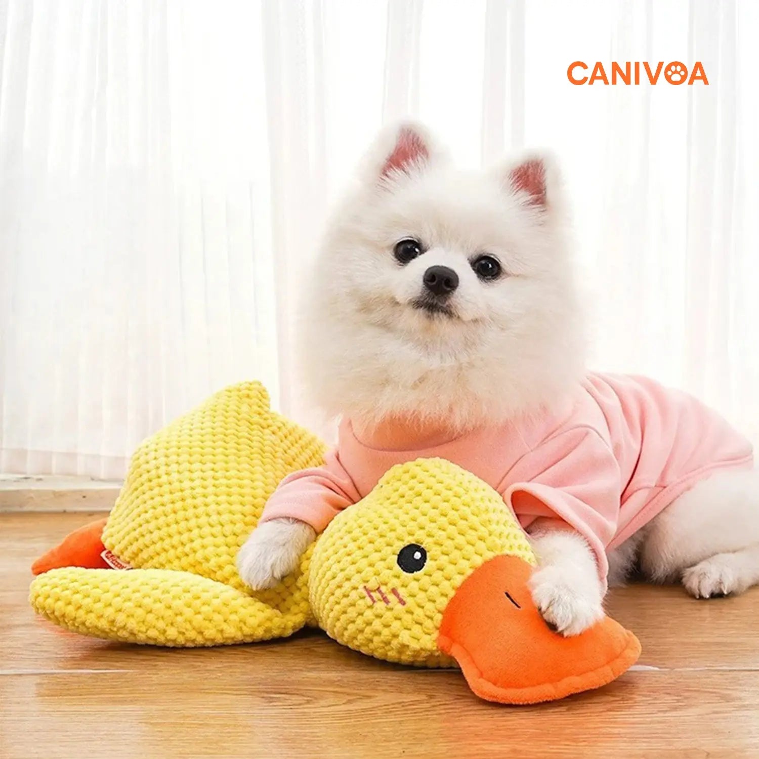 Ente Emil - Interaktives Hunde Spielzeug - canivoa.de