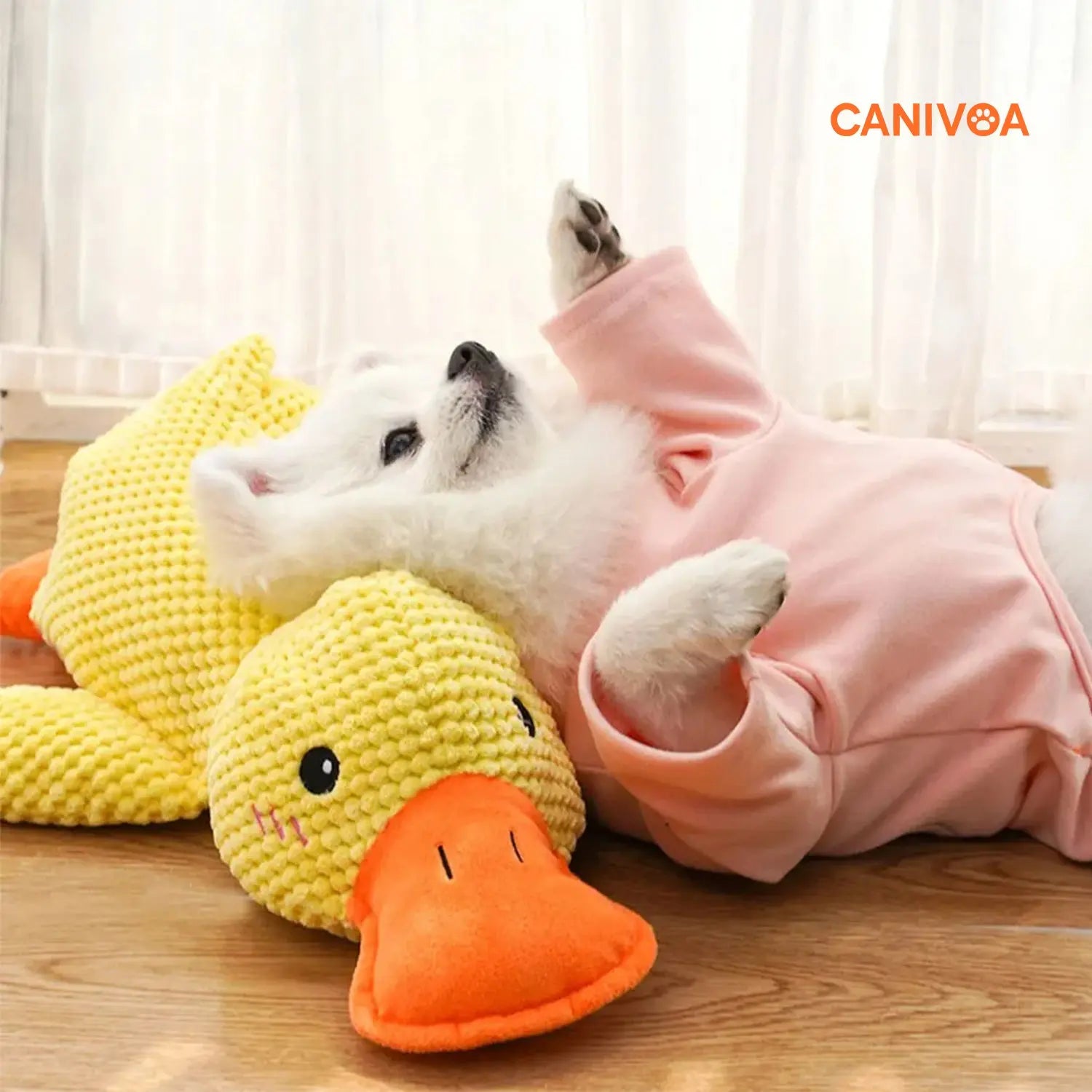 Ente Emil - Interaktives Hunde Spielzeug - canivoa.de
