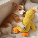 Ente Emil - Interaktives Hunde Spielzeug - canivoa.de