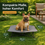 Erhöhtes Hundebett mit 68 × 68 cm Liegefläche und 21 cm Höhe, gezeigt mit Hund als Größenvergleich.